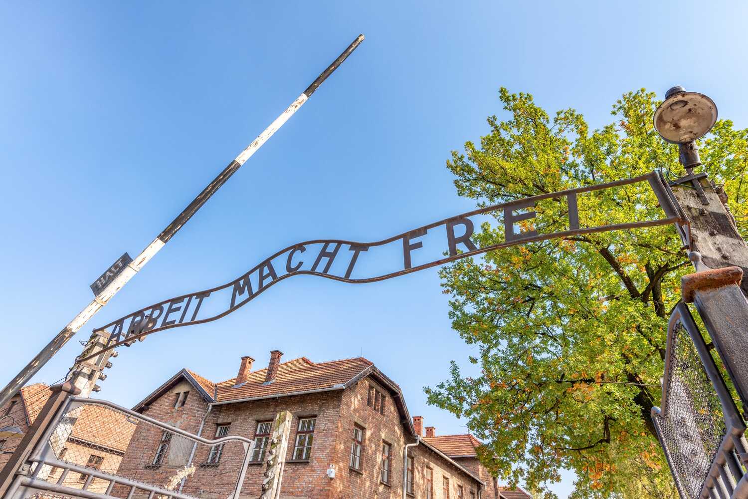 the best trips to Auschwitz tours from Krakow